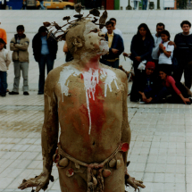 DUENDE EL HOMBRE ARBOL