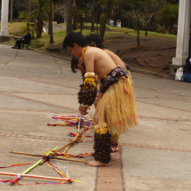 ENSAYOS PARQUE 21