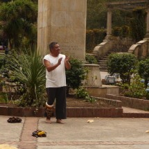 ENSAYOS PARQUE 9